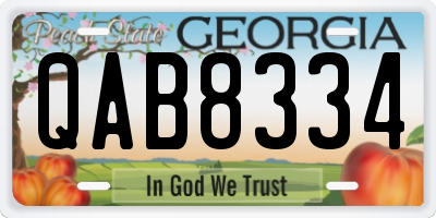 GA license plate QAB8334