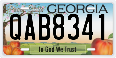 GA license plate QAB8341