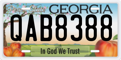GA license plate QAB8388