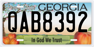 GA license plate QAB8392
