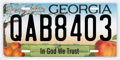 GA license plate QAB8403