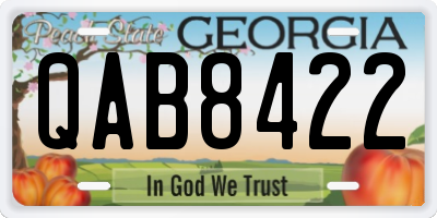 GA license plate QAB8422