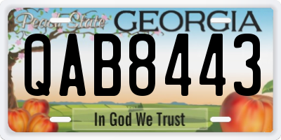 GA license plate QAB8443