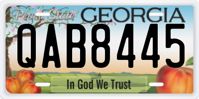 GA license plate QAB8445