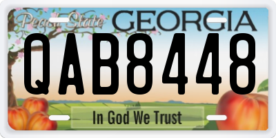 GA license plate QAB8448