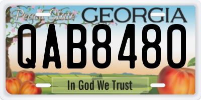 GA license plate QAB8480