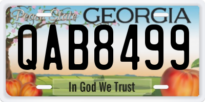 GA license plate QAB8499