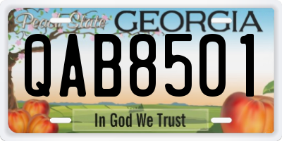 GA license plate QAB8501