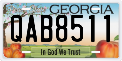 GA license plate QAB8511
