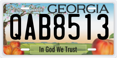 GA license plate QAB8513