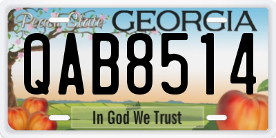 GA license plate QAB8514