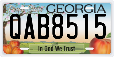 GA license plate QAB8515