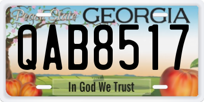 GA license plate QAB8517