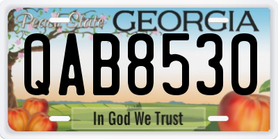 GA license plate QAB8530