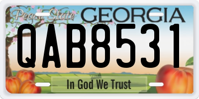GA license plate QAB8531