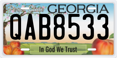 GA license plate QAB8533