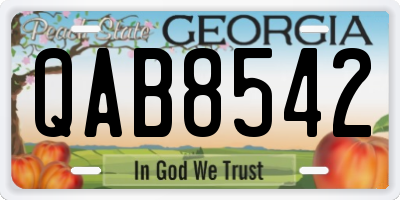 GA license plate QAB8542