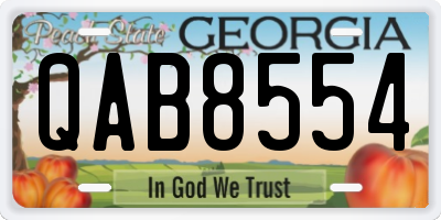 GA license plate QAB8554