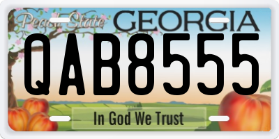 GA license plate QAB8555