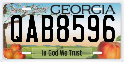 GA license plate QAB8596
