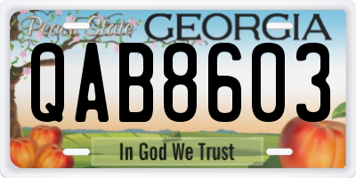 GA license plate QAB8603