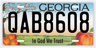 GA license plate QAB8608