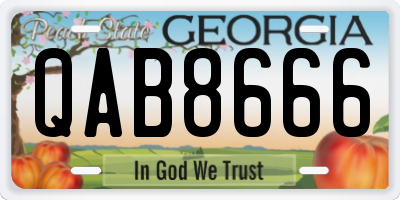 GA license plate QAB8666