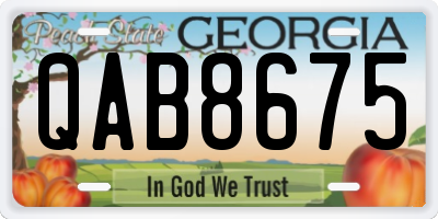 GA license plate QAB8675