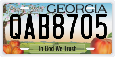 GA license plate QAB8705