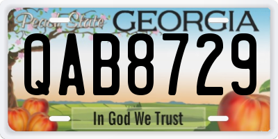 GA license plate QAB8729