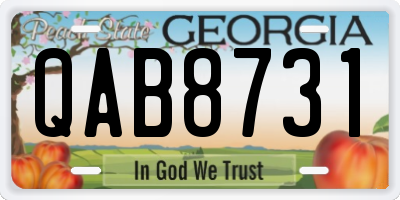 GA license plate QAB8731