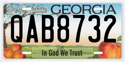 GA license plate QAB8732