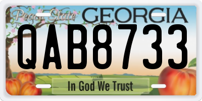 GA license plate QAB8733