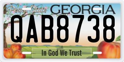 GA license plate QAB8738