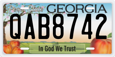 GA license plate QAB8742