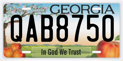GA license plate QAB8750