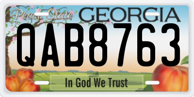 GA license plate QAB8763