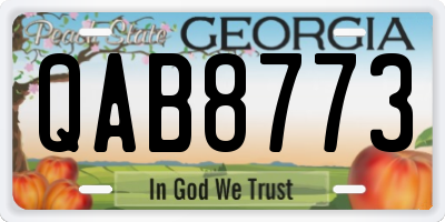 GA license plate QAB8773