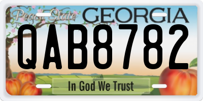 GA license plate QAB8782