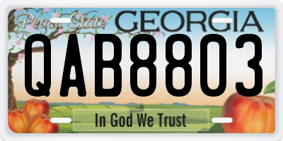 GA license plate QAB8803