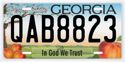 GA license plate QAB8823