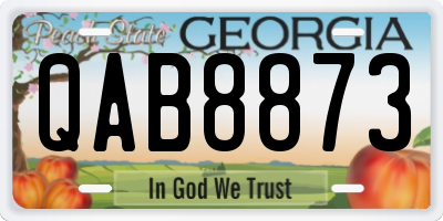 GA license plate QAB8873