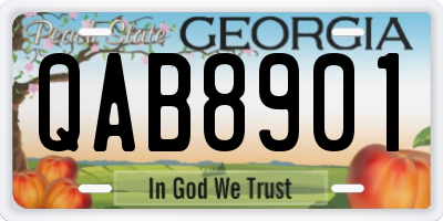 GA license plate QAB8901