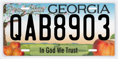 GA license plate QAB8903