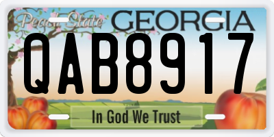 GA license plate QAB8917