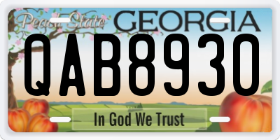 GA license plate QAB8930
