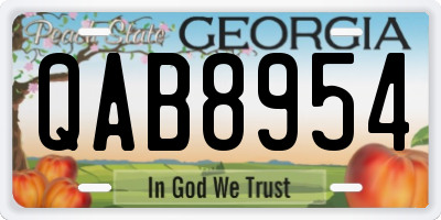 GA license plate QAB8954