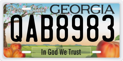 GA license plate QAB8983