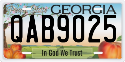 GA license plate QAB9025