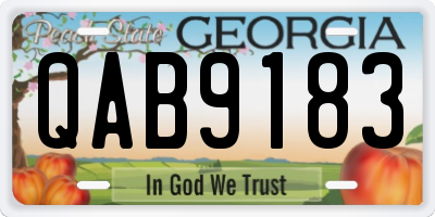 GA license plate QAB9183